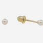 10k Yellow Gold Freshwater Pearl Studs