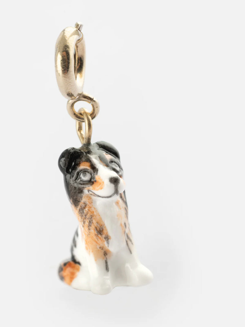 Australian Shepherd