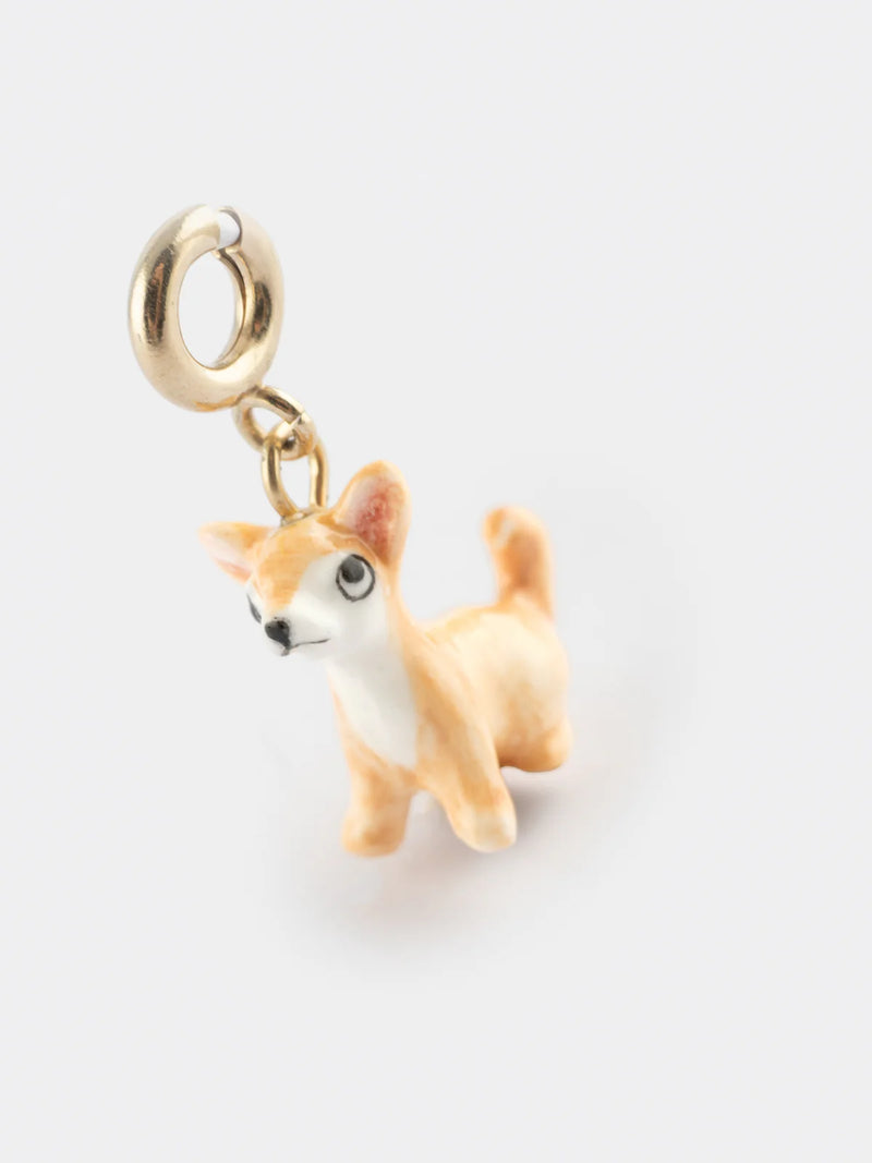 Chihuahua Charm