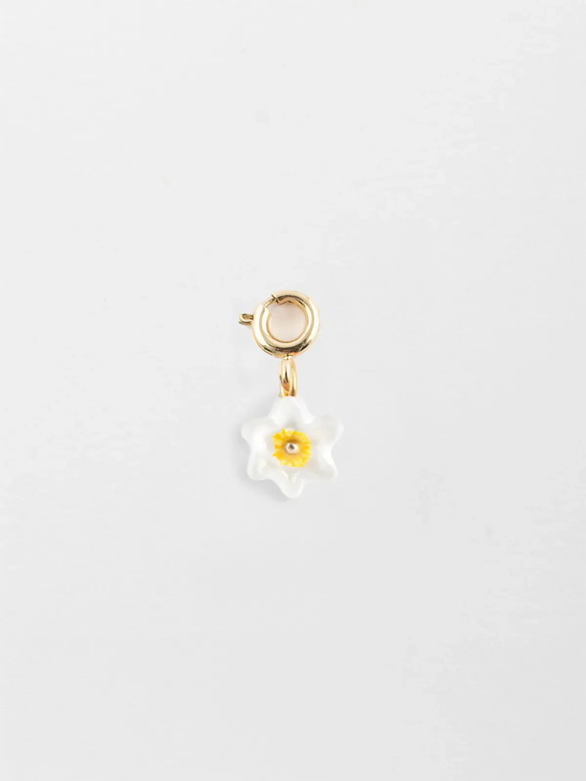 Daffodil Charm